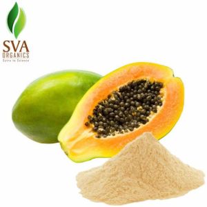 Papaya Powder