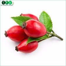 rosehip seed oil