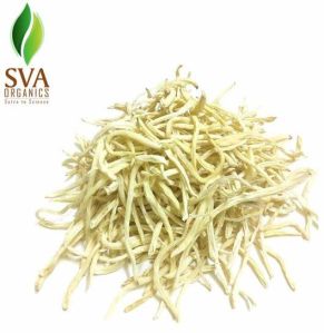 Safed Musli Extract