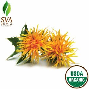 Safflower Oil