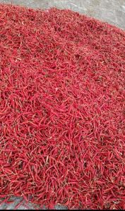 dried red chilies