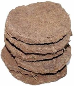 Gir cow dung cake