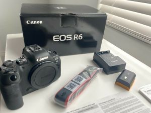 Canon EOS R6 Mirrorless Digital Camera