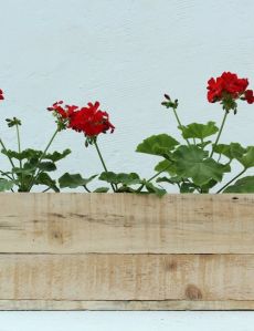 TABLE TOP WOODEN BOX PLANTER