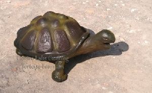 Fiber Craft Turtle
