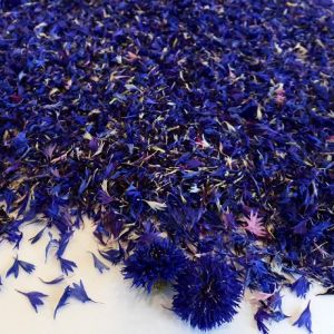 dried blue cornflower