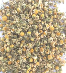 Dried Chamomile Flower