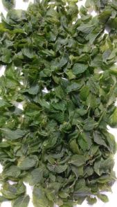 Frozen Mint Leaves