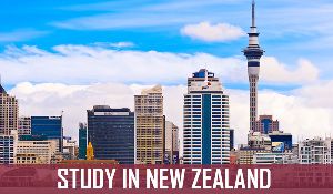 New Zealand Study Consultancy