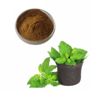 Ocimum Sanctum Extract