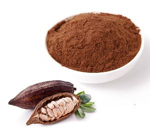Theobroma Cacao Extract