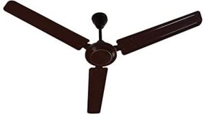 Ceiling Fans