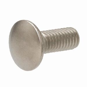 ss carriage bolt