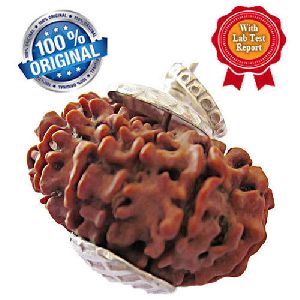 11 Mukhi Rudraksha