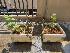 Rectangular Gardening Box