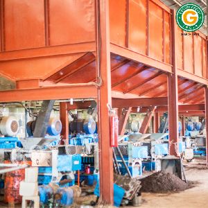 Palm Kernel Oil Extraction Plant