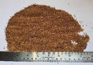 Red Millet Seeds