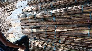 Riding Bamboo Cane