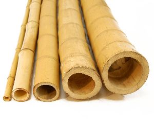 Natural Bamboo Cane