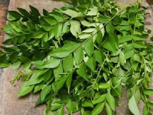 Curry Leaves Capsules