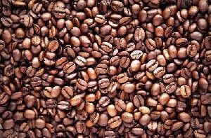 Robusta Coffee Beans