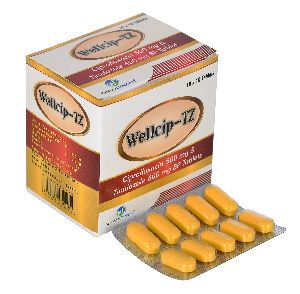 Wellcip-TZ Tablets