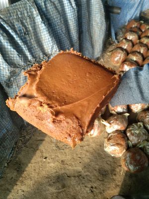 Raskat Jaggery
