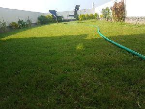 Terrace Waterproofing services