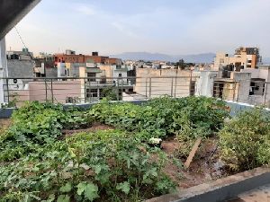 Terrace Waterproofing services