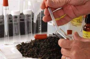 Soil Testing Services