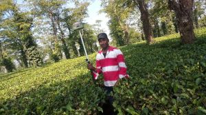 Topographic Survey
