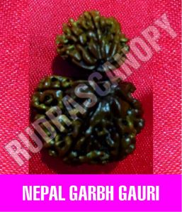 Nepal Garbh Gauri Rudraksha