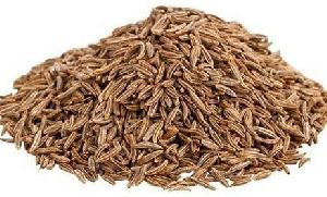 Cumin Seeds