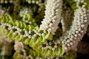 Fresh Jasmine Garland