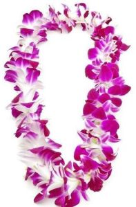 Fresh Orchid Garland