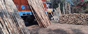 Nilgiri Bamboo Poles