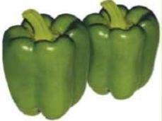 CP-NS4107 Hybrid Chilli Seeds