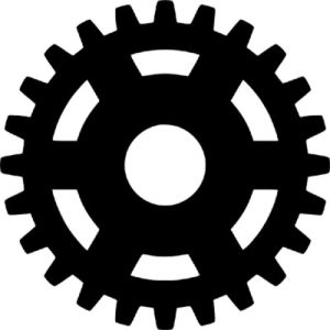 Pinion Gear