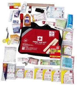 FIRST AID FAMILY KIT SMALL - NYLON 6 POCKET BAG