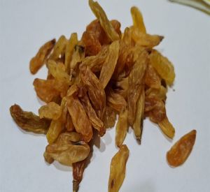 Golden Raisins