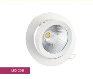 Led Cob Light