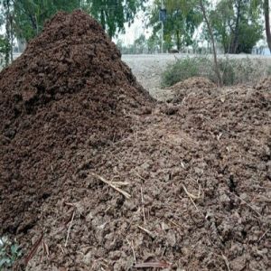 Organic Cow Dung Manure