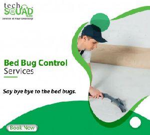 Bed Bug Pest Control Services Near Me in Chennai