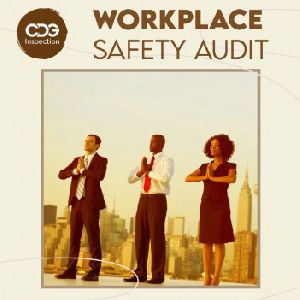 Workplace Audit and Inspection Services