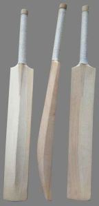 Plain Kashmir Willow Cricket Bat