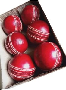 Red Cricket Leather Ball