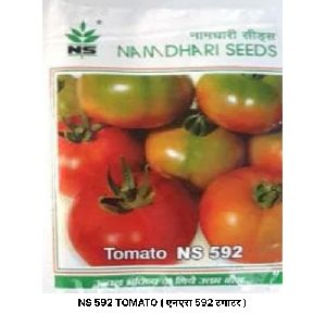 NS 592 Tomato Paste