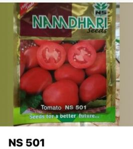 NS501 TOMATO SEED