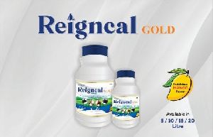 Reigncal Gold Cattle Feed Supplement