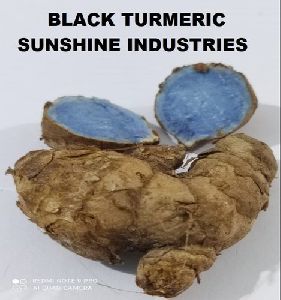 Black Turmeric